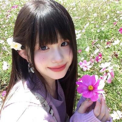 森林进化论